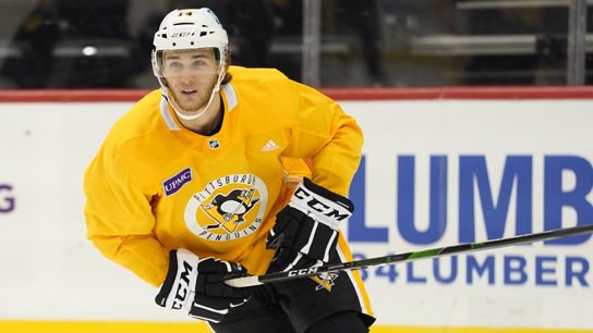 Sullivan: Jankowski 'helps us in a number of different ways' taken at PPG Paints Arena (Penguins)